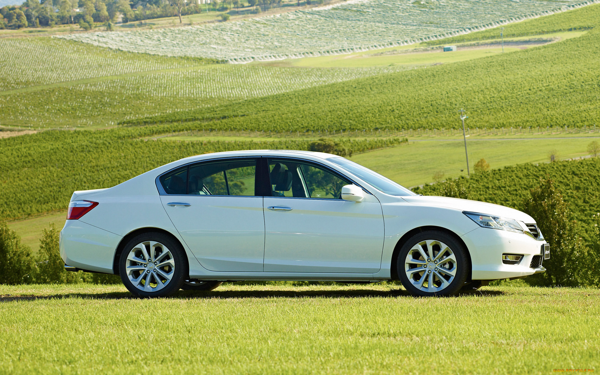 , honda, accord